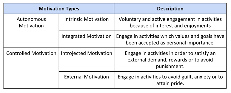 Motivation Types